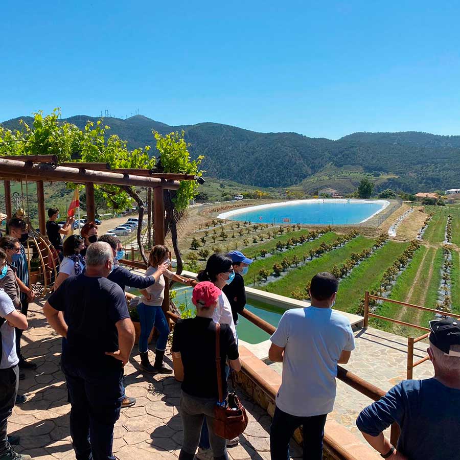 Pelle Lundborg - Finca Solmark